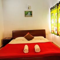 SPACIOUS ONE BHK APARTMENT