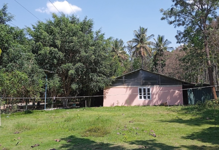 Oaks and Ferns Eco Resort