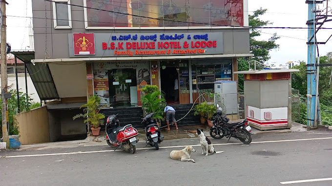 BSK DELUXE LODGING
