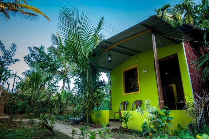 DANDELI LEMON TREE JUNGLE STAY