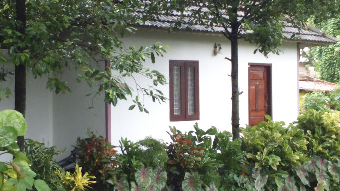 LAKE VIEW SYLVANIA TOURIST ENCLAVE