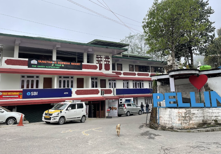 YANGTHANG DZIMKHA RESORT PELLING