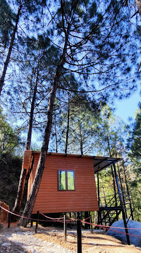 BUGYAL STAYS - JUNGLE RESORT IN UTTARAKHAND