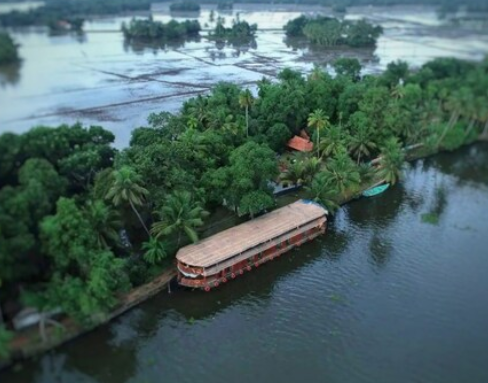 SKYBZ - SPICEWOOD FARMSTAY