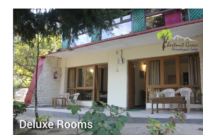 CHESTNUT GROVE HIMALAYAN LODGE -HOTELS IN CHAUKORI