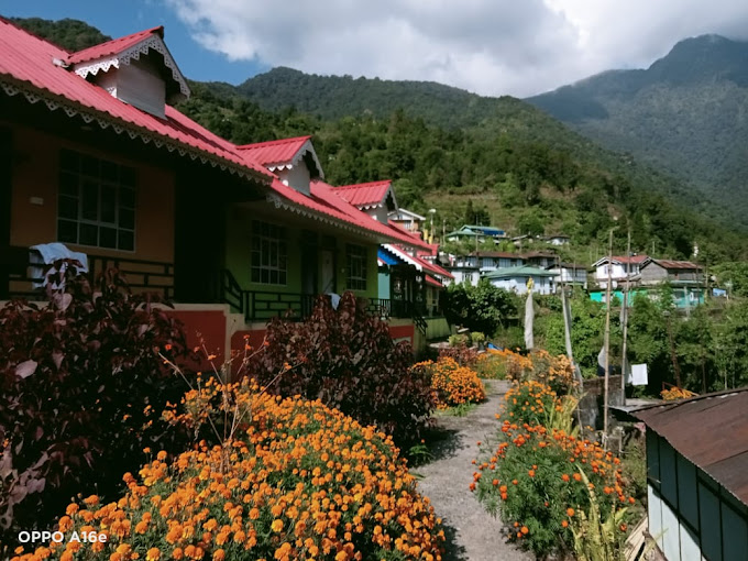 STAR HOLIDAYS PASTING