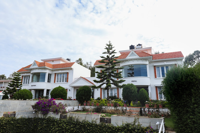 TWIN TREE MOUNTAIN RESORT