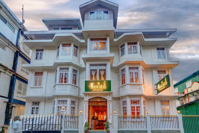 MUSCATEL  SPRING BURN