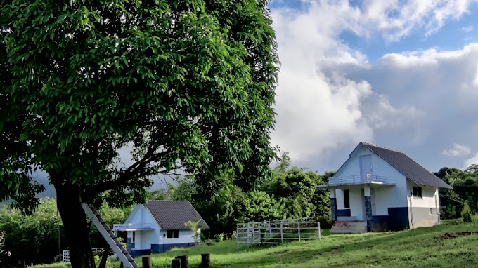 BREEZE BAY HOLIDAY HOMES