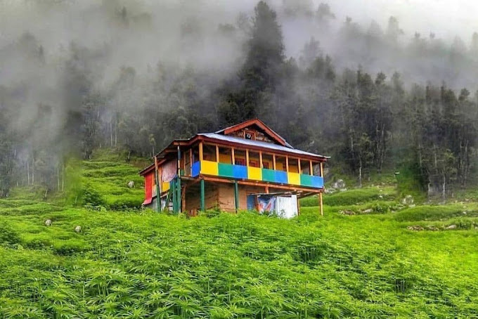 RAVERS POINT CAFE AND HOMESTAY