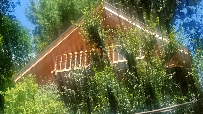 SUNLIGHT TREE HOUSE AND COTTAGES