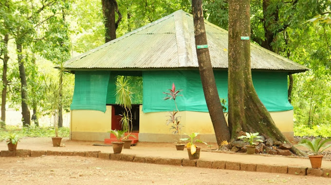 NATURE CAMP BELLANGI