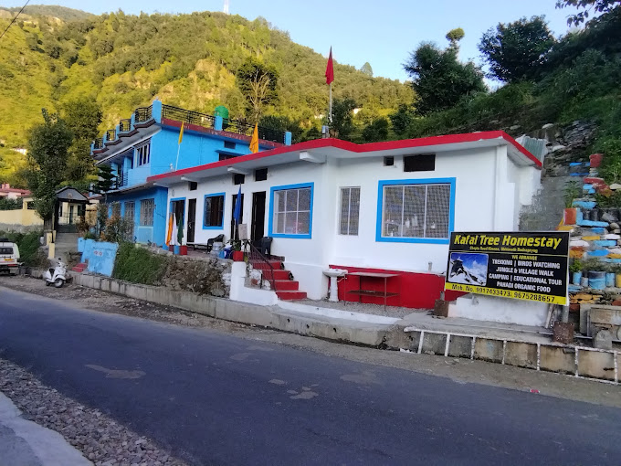 KAFAL TREE HOMESTAY