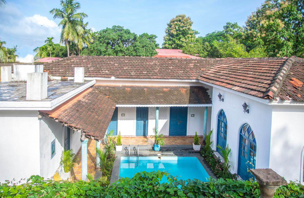 Serene Morning Glory