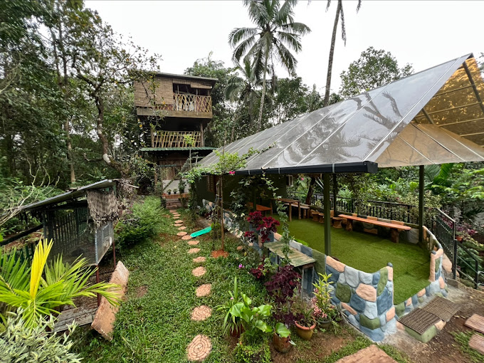 ELA FOREST STAY TREE HOUSE