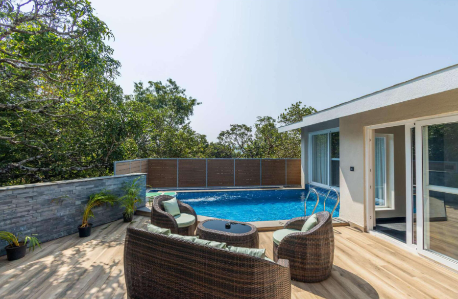 Serene Alpin Woods 2