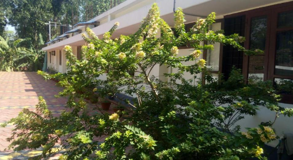 PANACKAL INN HOMESTAY AND LODGE