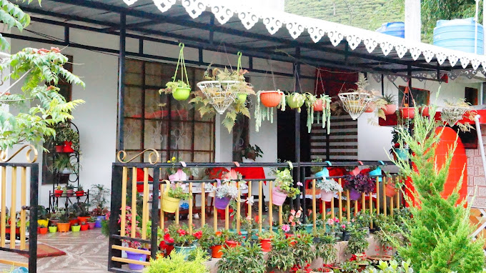 TEESTA VALLEY HOMESTAY