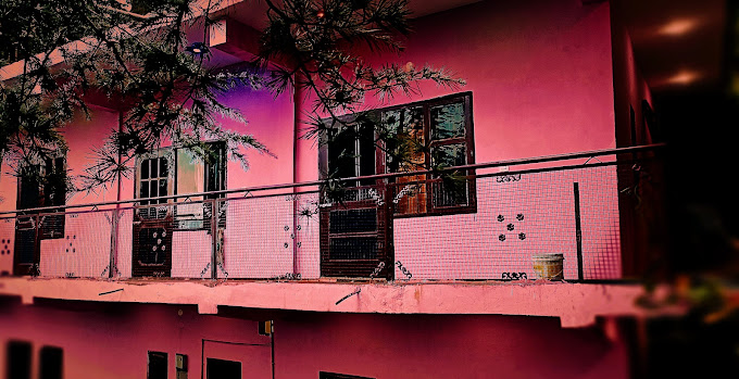 PEACE HOLIDAY HOMESTAY