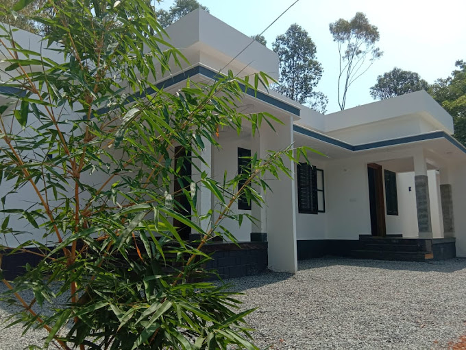 WAYANAD SILVER  BLOOMS