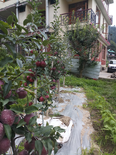 MALIS APPLE LODGE HOMESTAY