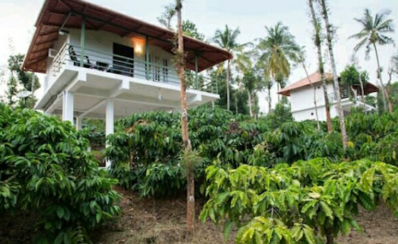 The Suvistara Resort Wayanad