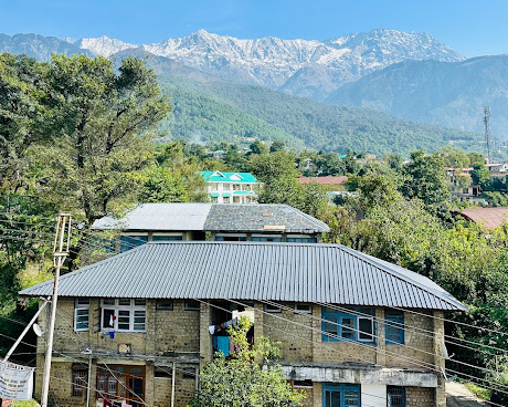 Riva dreams mountain bliss