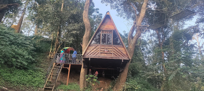ECONEST TREEHOUSE DUBARE