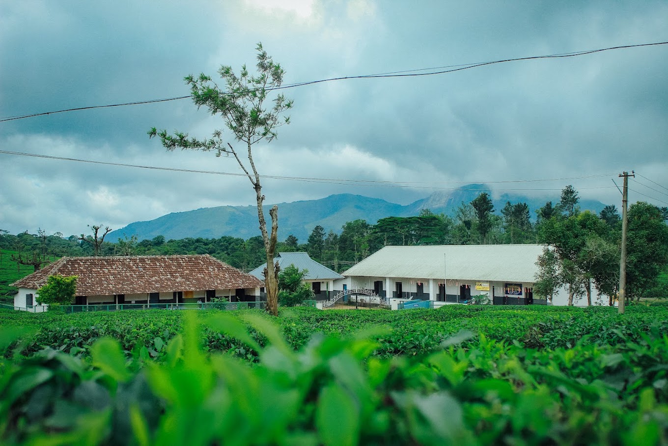 SPRING VALLEY RESORT