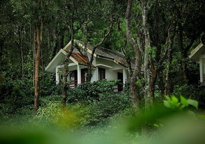 DHANAGIRI HOMESTAY