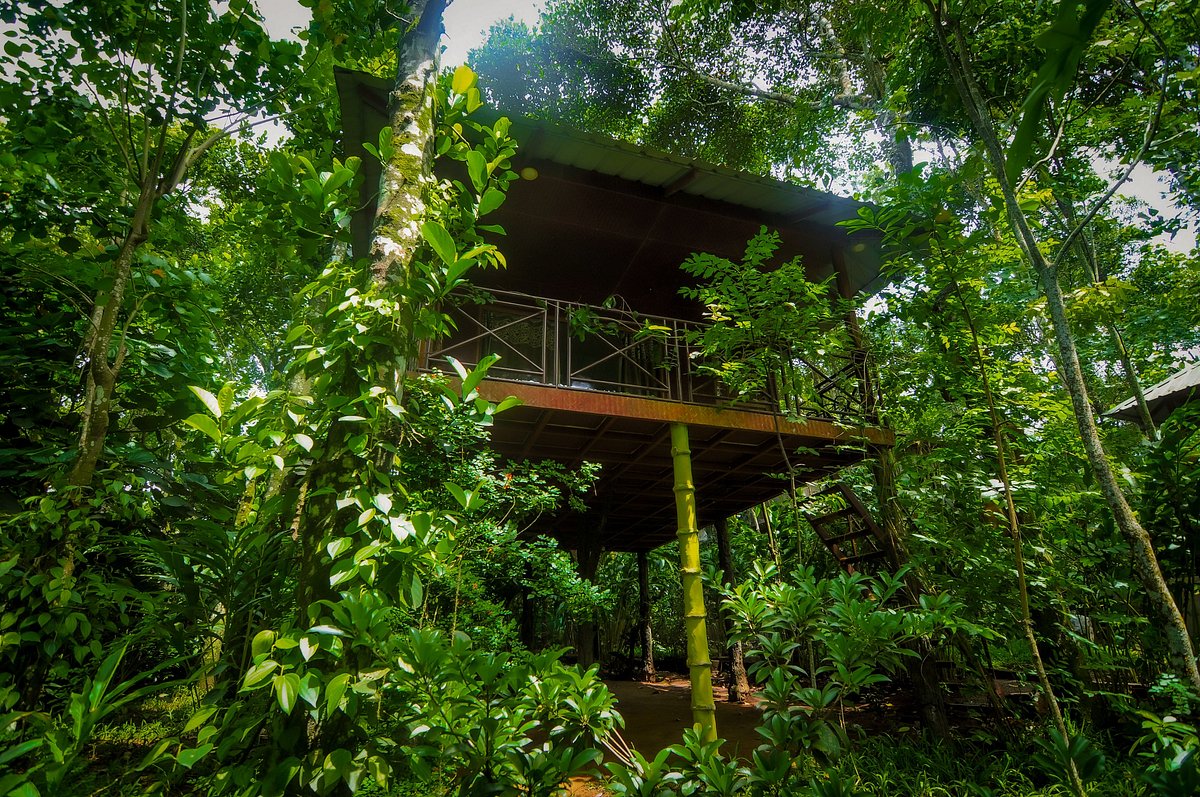 MONSOON RETREATS ECOSTAY