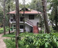 THE WILDERNESS RESORT