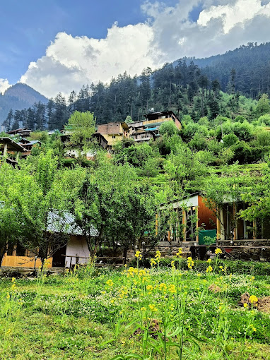 THE ACOUSTIC CABINS JIBHI