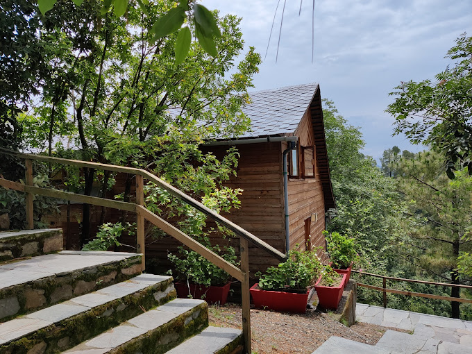 SURO TREEHOUSE RESORT