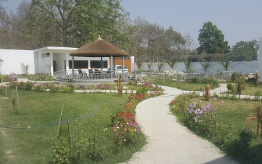 DTR Jungle Hideaways, Kishanpur, Dudhwa