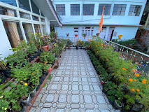 RISE N SHINE HOMESTAY