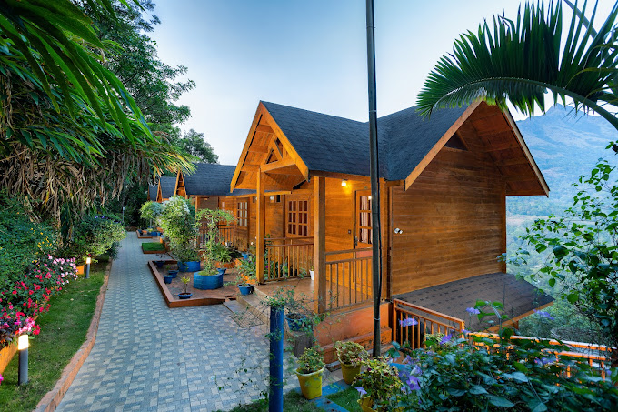 ETERNO CAMELLIA AND ELETTARIA