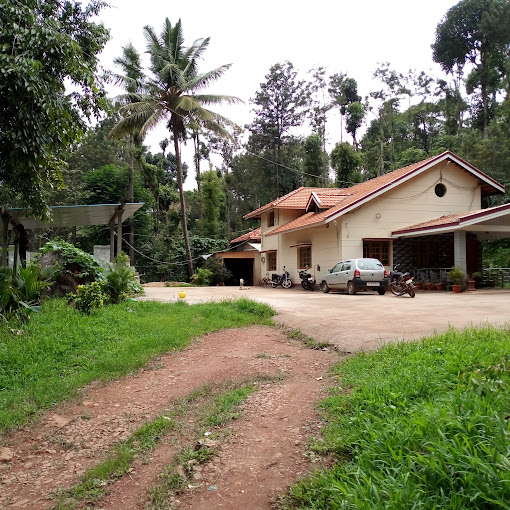 Green Palace Homestay