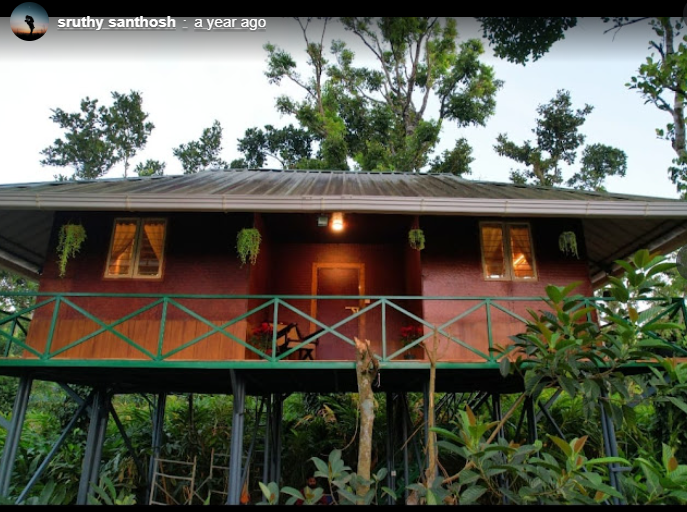 GREENLEA HOMESTAY