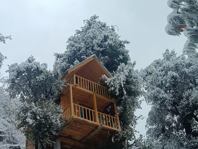 Johny's treehouse & cottage