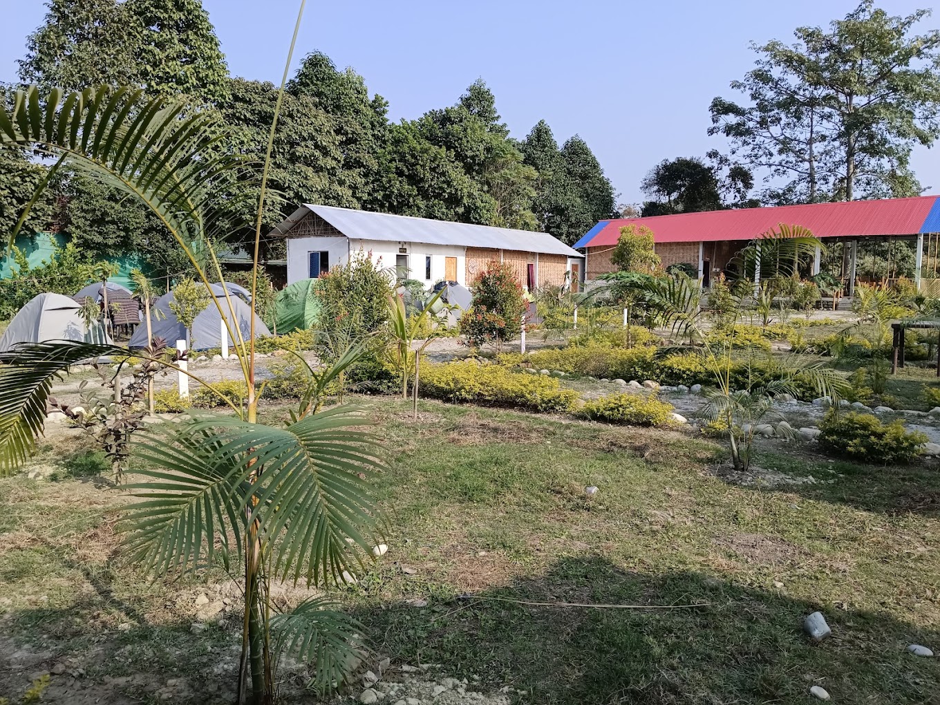 FALCON JUNGLE RESORT