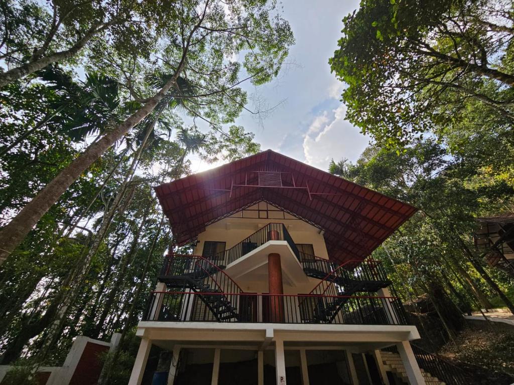 DAZZLE EDAKKAL VILLAGE RESORT