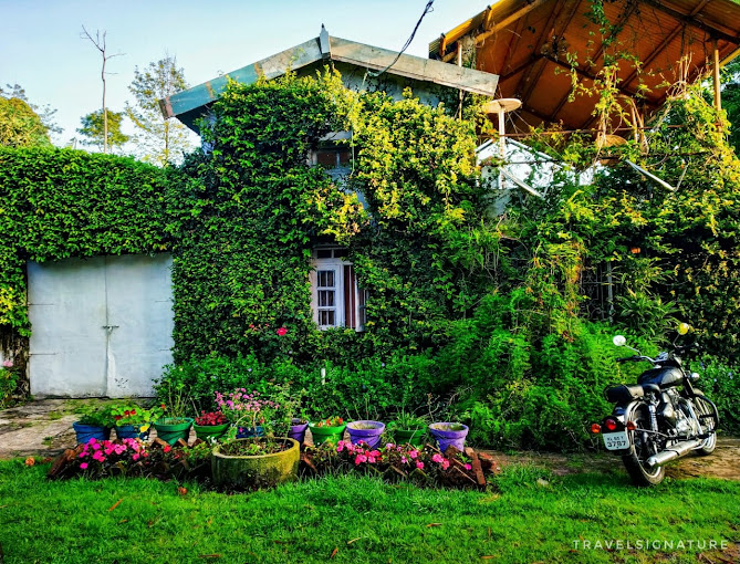 GREEN PEARL COTTAGES