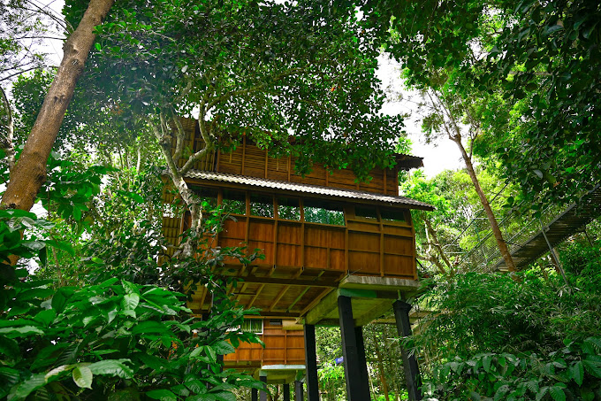 CHANGAATHI TREE HOUSE WAYANAD