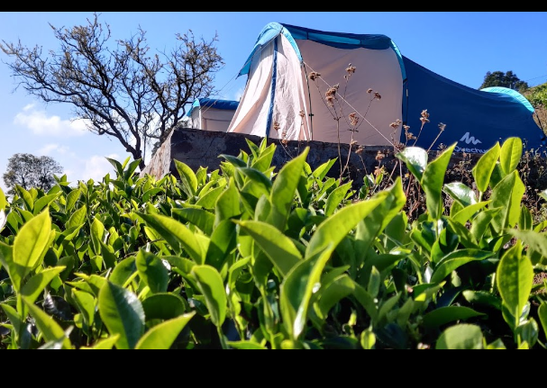 ALPAS CAMPS AND RESORTS INDIA PVT LTD