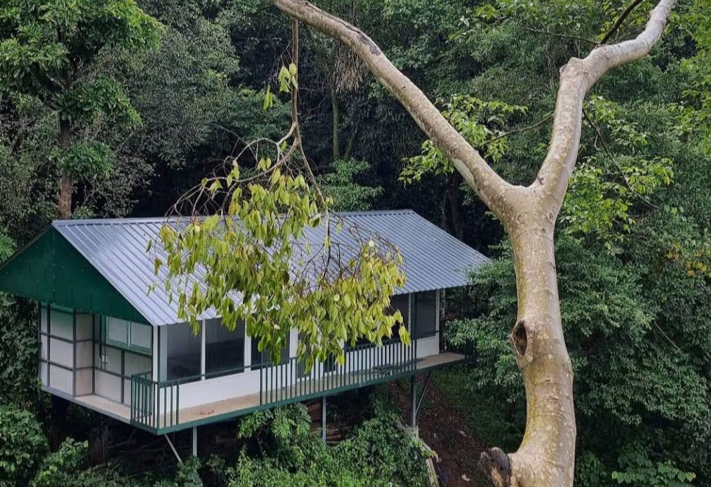 BILIMBI JUNGLE RESORT