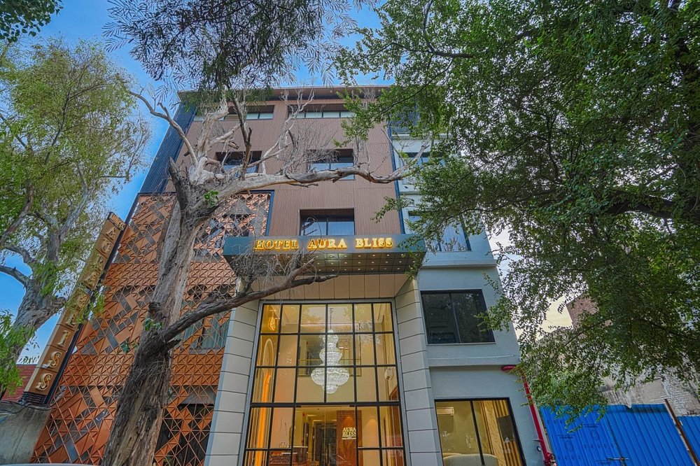 LEVELUP PLUS AURA BLISS