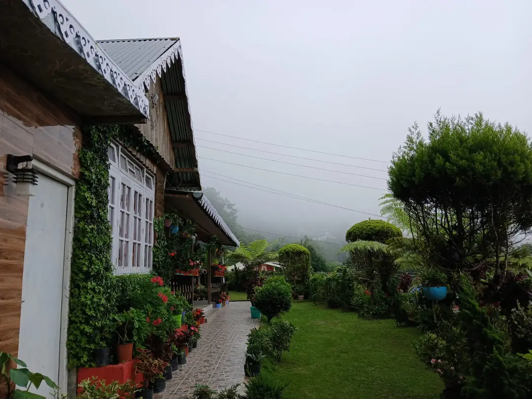 SAY HOMES PINE WOOD DALAPCHAND