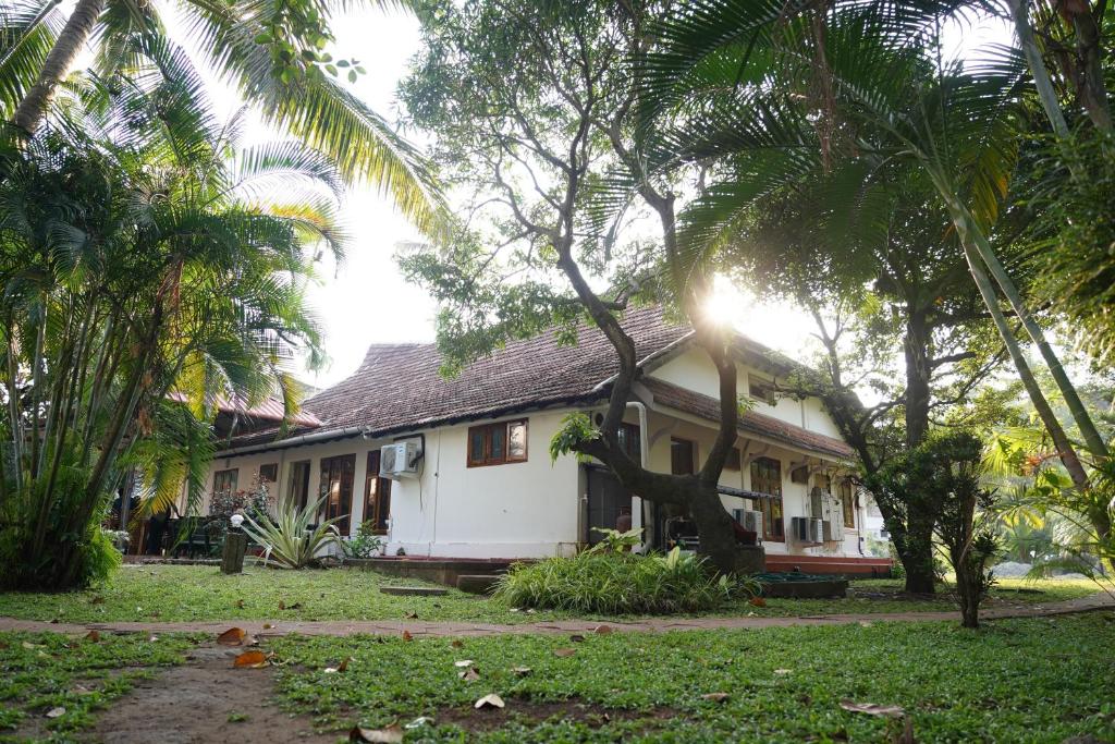 ALFRED PLACE
